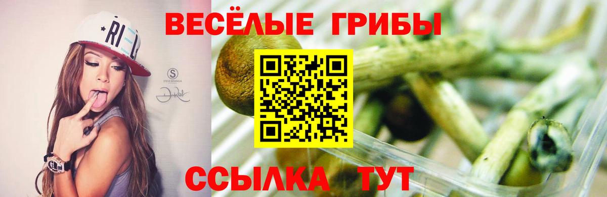 Галлюциногенные грибы мицелий  Псилоцибиновые грибы Psilocybe  купить закладку  Вход с VPN  Октябрьский 